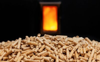 Estufa de pellet o de leña: cuál es mejor